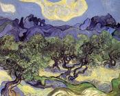 文森特 威廉 梵高 : 以山为背景的橄榄树丛